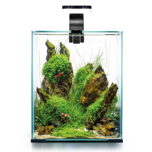 Shrimp Set Day & Night, 30l, schwarz 29x29x35cm
