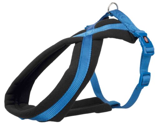 Premium harnais, bleu XS-S, 15mm/ 30-55cm