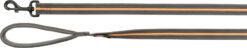 Fusion laisse, extra longue, L-XL: 1,80 m/25mm, gris graphit