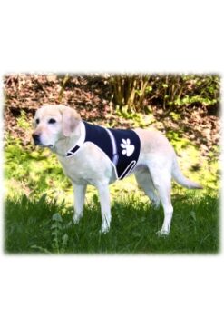 Flash Sicherheitsweste USB für Hunde, S, schwarz