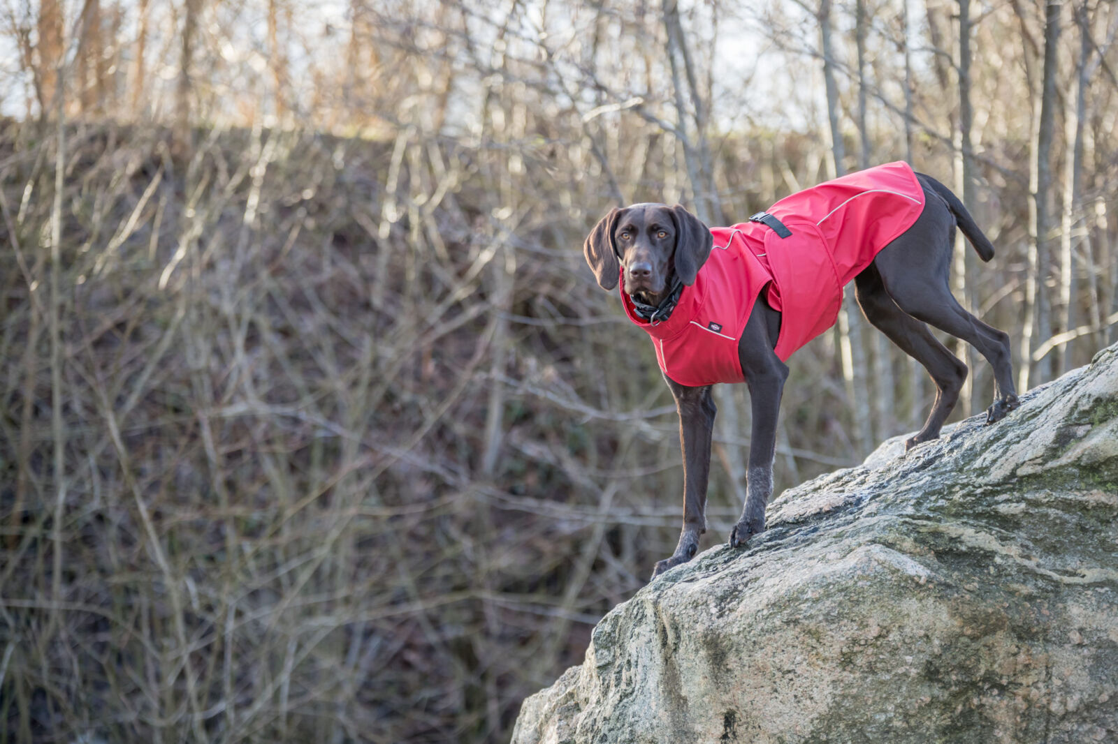 Imperméable Vimy, S: 35cm, rouge S: 35cm Imperméable Vimy, S: 35cm, rouge S: 35cm