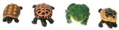 12er Set Frösche + Schildkröten (kl. Fr. 3.70/gr. Fr. 4.40)