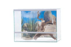 Terrarium 40x25x30cm