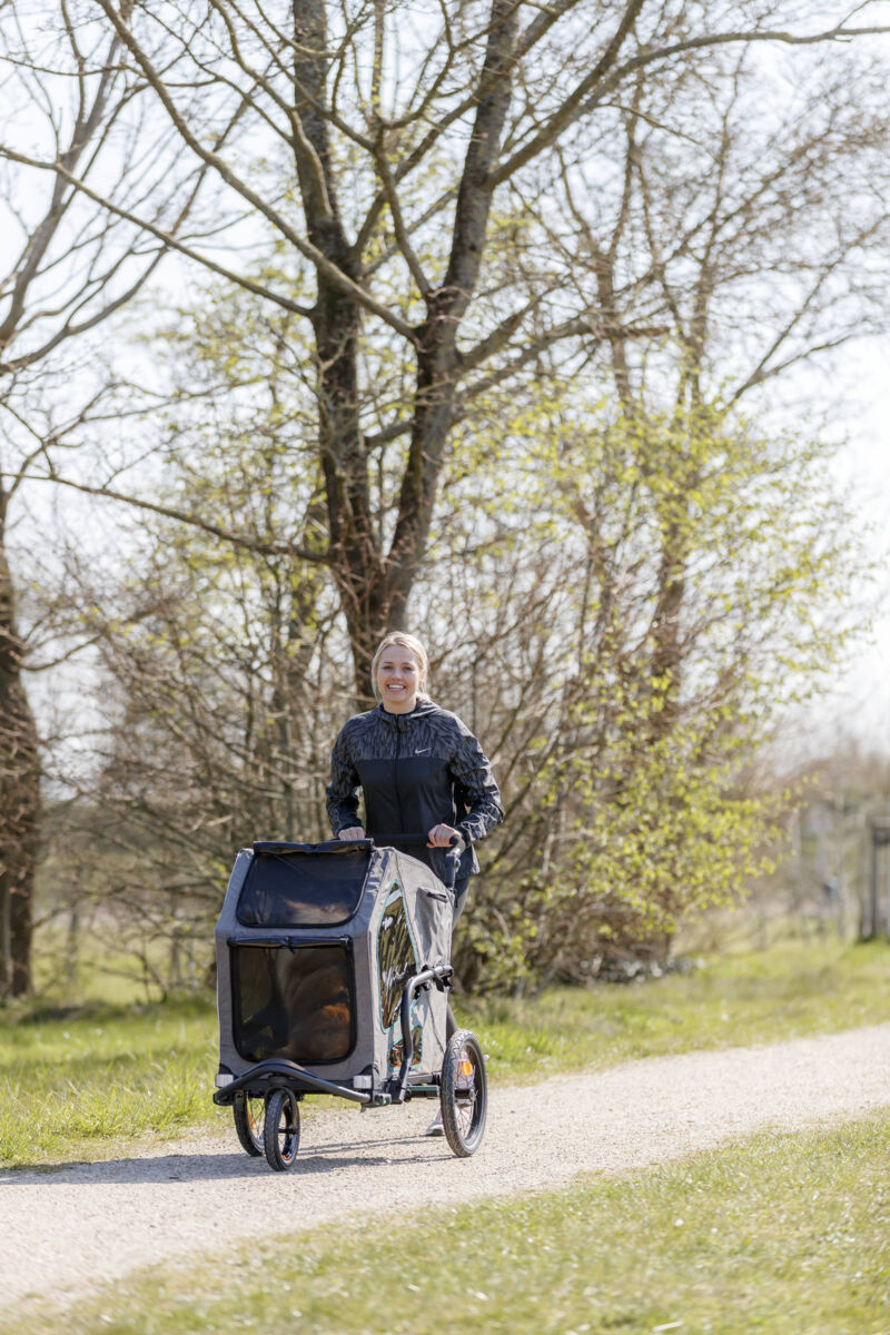 Roulotte de vélo, S: 41,5×59×78/130 cm, gris/sauge Roulotte de vélo, S: 41,5×59×78/130 cm, gris/sauge