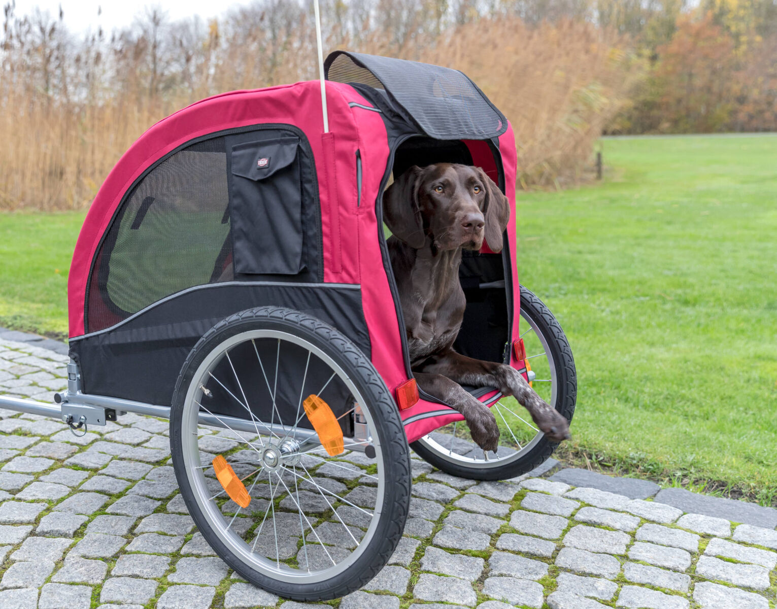 Fahrrad-Anhänger, schwarz/rot L: 75×86×80/145 cm Fahrrad-Anhänger, schwarz/rot L: 75×86×80/145 cm