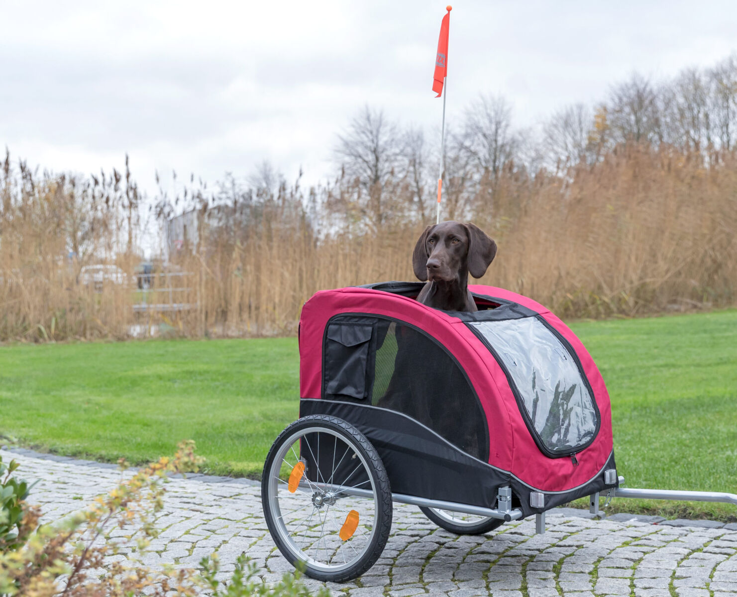 Fahrrad-Anhänger, schwarz/rot L: 75×86×80/145 cm Fahrrad-Anhänger, schwarz/rot L: 75×86×80/145 cm