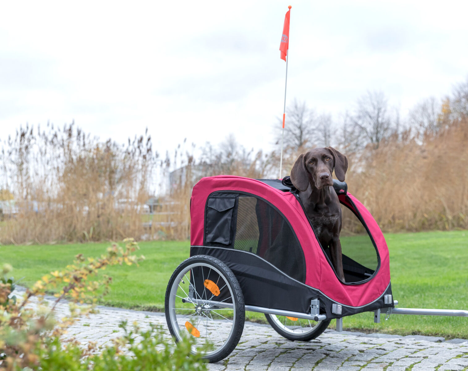 Fahrrad-Anhänger, schwarz/rot L: 75×86×80/145 cm Fahrrad-Anhänger, schwarz/rot L: 75×86×80/145 cm