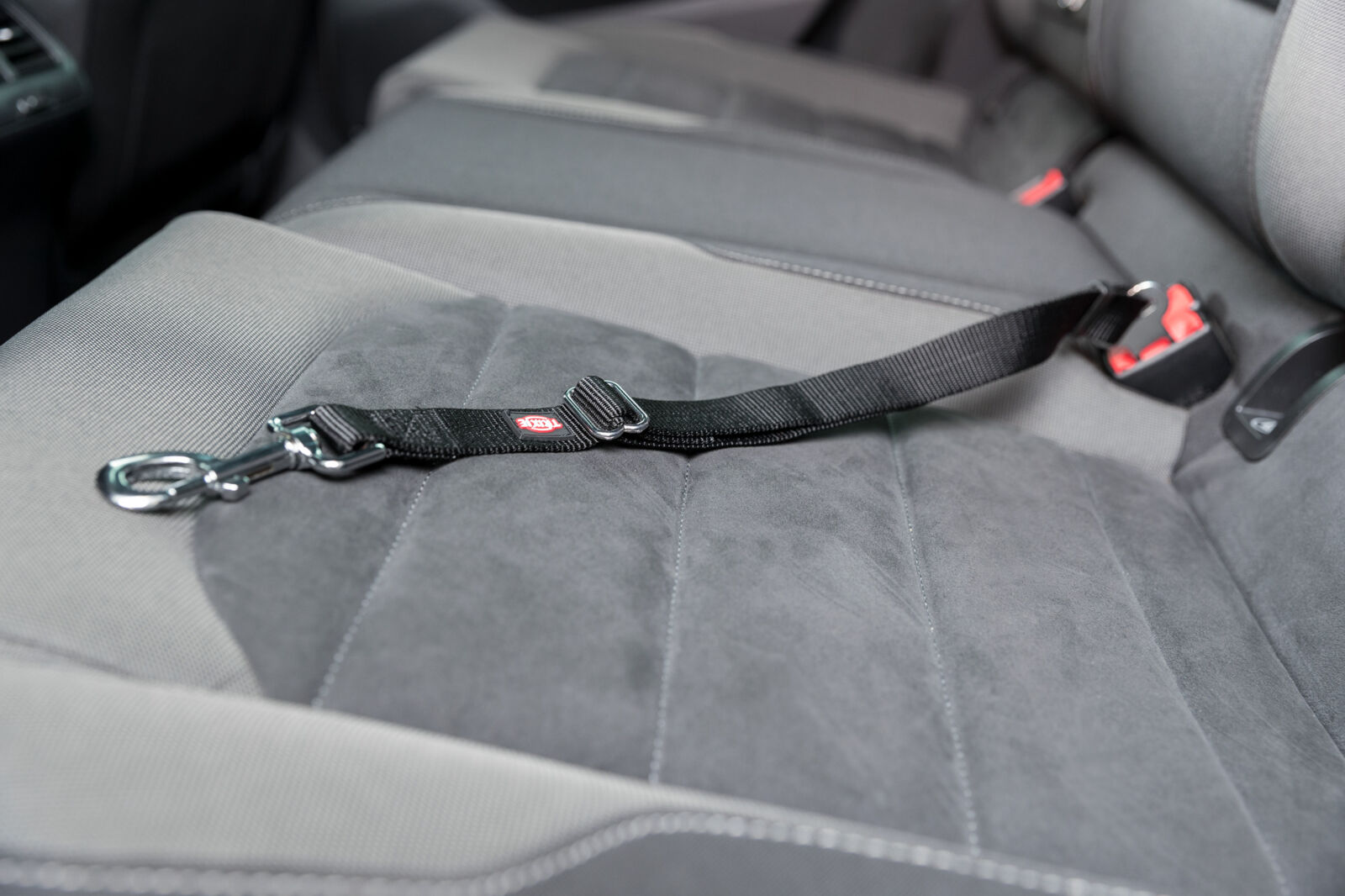 Anschnallgurt S-M: 45-70cm / 25mm Anschnallgurt S-M: 45-70cm / 25mm