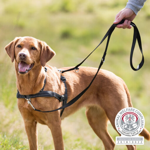 Harnais d'entraînment Lead'n'Walk Soft, noir S-M: 45-70cm/25mm