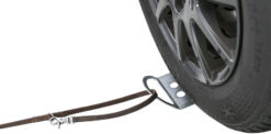 Plateau de voiture pour chien en laisse, 12 × 31 cm