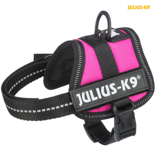 Harnais Power Julius-K9, Baby 1/XS: 30-40cm/18mm, fushia 1/XS: 30-40cm/18mm