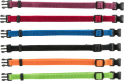Welpenhb., schwarz, rot, blau, grün, orange, lila
