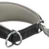 Active collier Comfort pour lévriers, en cuir, S-M: 33-42cm/