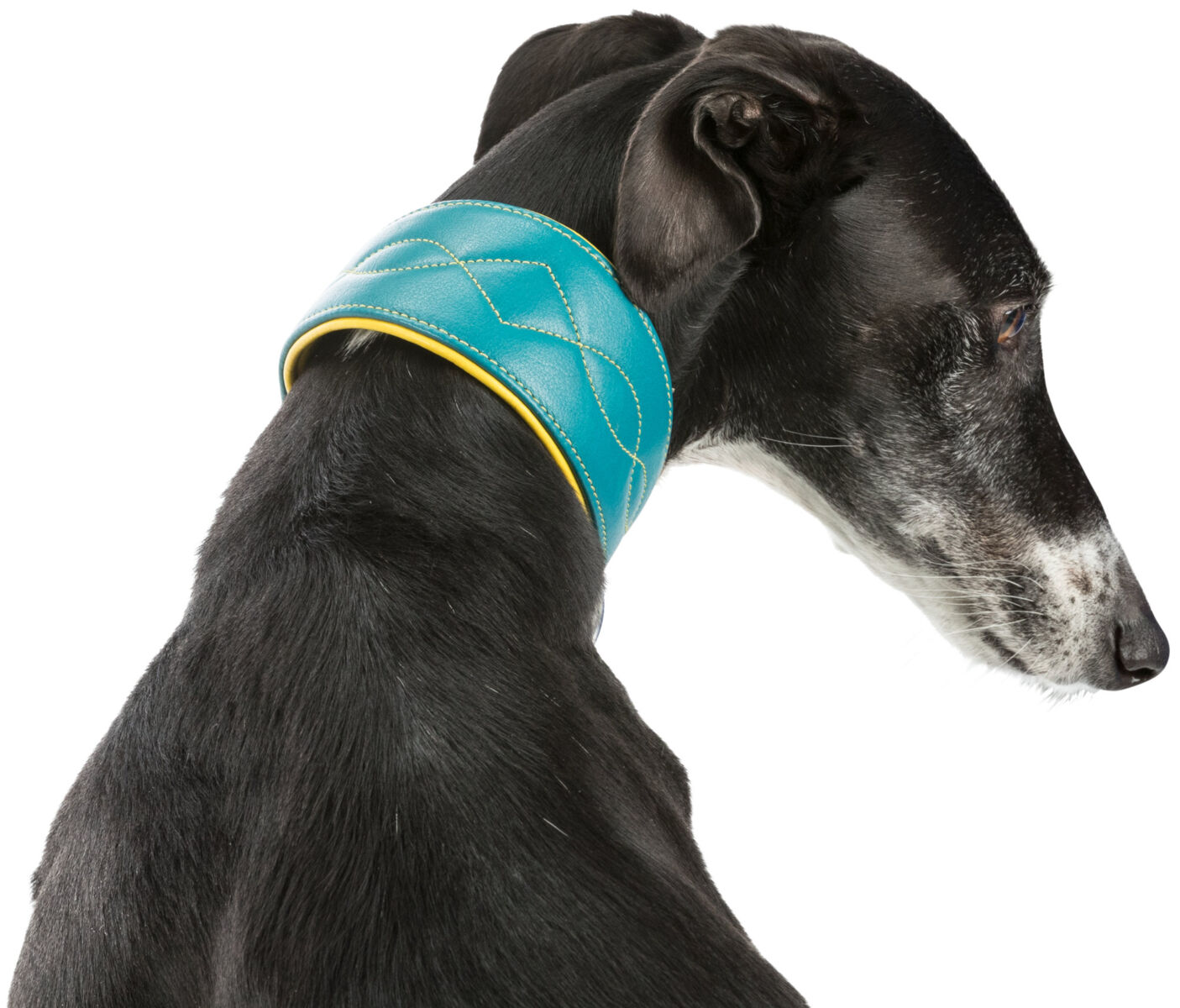 Active Comfort Halsband für Windhunde, Leder S: 27-35cm/55m Active Comfort Halsband für Windhunde, Leder S: 27-35cm/55m