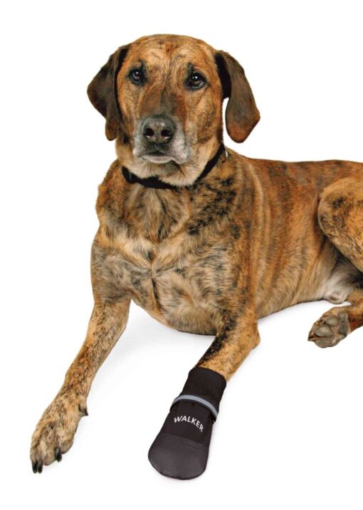 2 "Walker care comfort bottine p. chien en nylon Gr.6/XXL