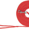 Laisse de chasse, Nylon, 5m,rouge