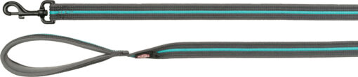 Fusion Leine, extra lang, grafit/ozean S-L: 1,80 m/17mm