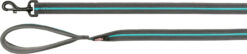 Fusion laisse, extra longue, L-XL: 1,80 m/25mm, gris graphit