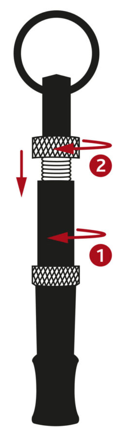 Alternative view of Sifflet de hautfrequence