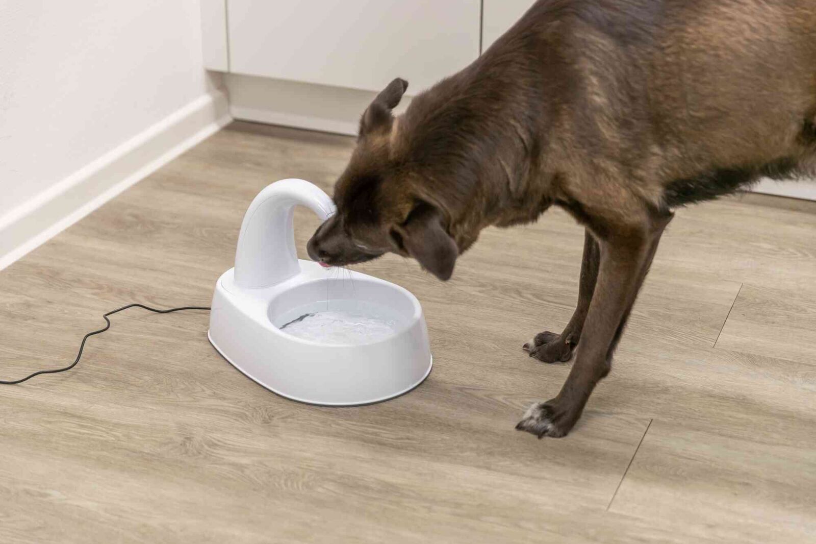 Trinkbrunnen Curved Stream, Kunststoff, 2,5 l/25 × 24,5 × Trinkbrunnen Curved Stream, Kunststoff, 2,5 l/25 × 24,5 ×