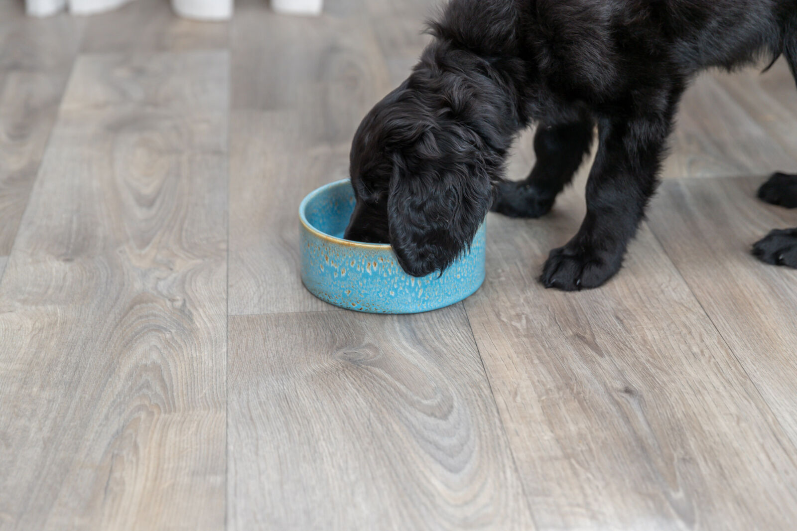 Napf, Keramik, blau 0,9 l/ø 16cm Napf, Keramik, blau 0,9 l/ø 16cm