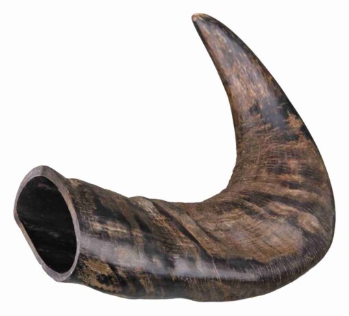 Natur-Kauhorn, vom Büffel mittel