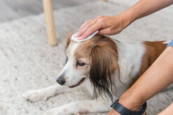 Alternative view of Lingettes de soin universelles, 30 Pcs