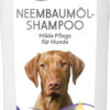 Neembaum-Öl Shampoo