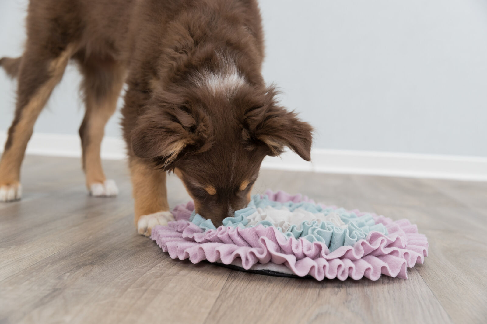 Junior tapis à renifler, ø 38cm Junior tapis à renifler, ø 38cm