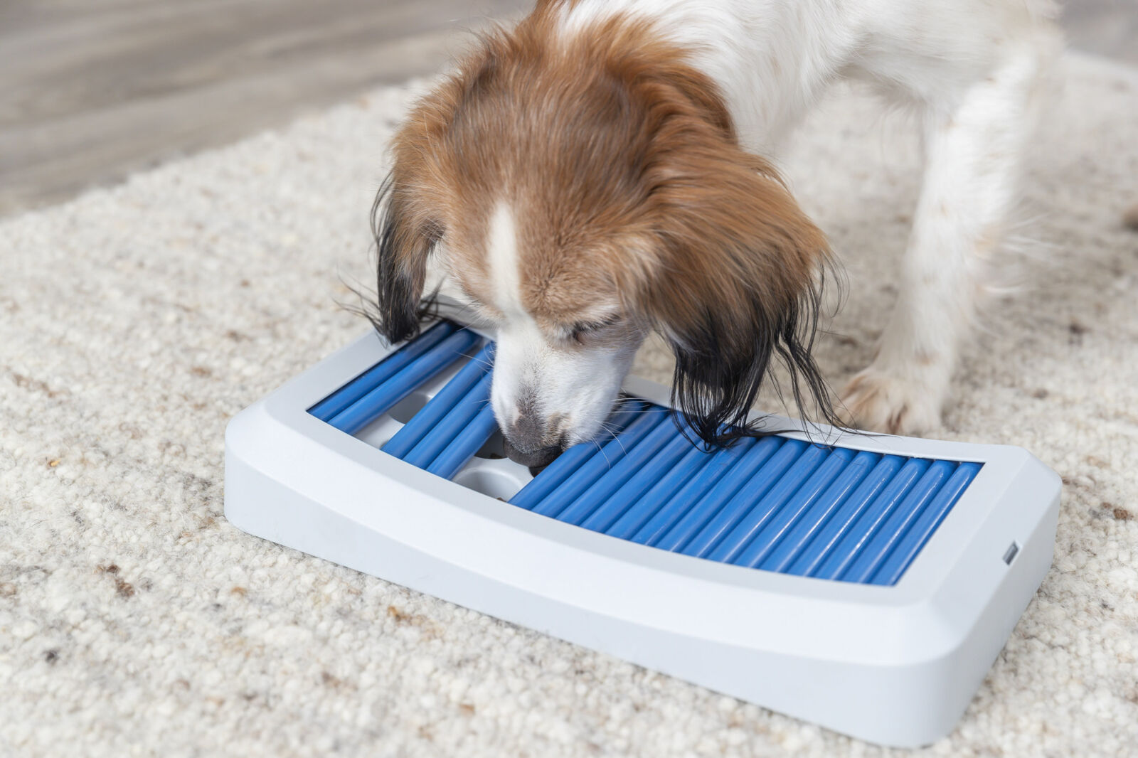 Dog Activity Rod Board, en plastique, 35×19,5cm Dog Activity Rod Board, en plastique, 35×19,5cm