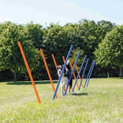 Alternative view of 12 piquets de slalom