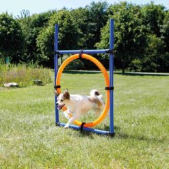Alternative view of Anneau agility