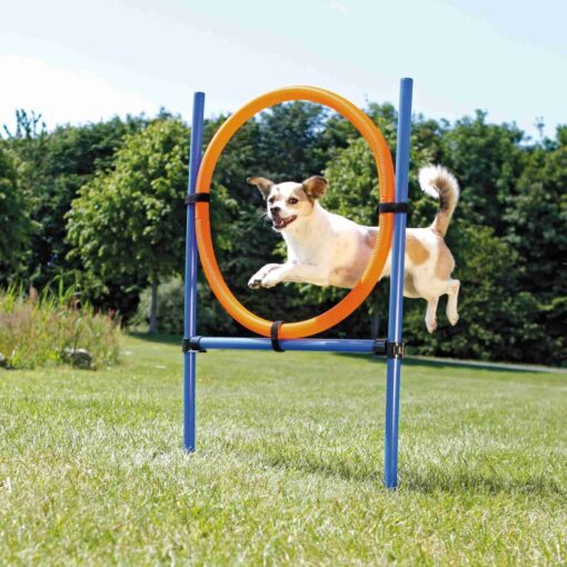 Agility Ring ø 65cm