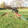 Dog Activity Agility Dogwalk