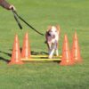 Dog Activity Obstacles, set 2 Pcs, ø30×50cm, orange & jaune