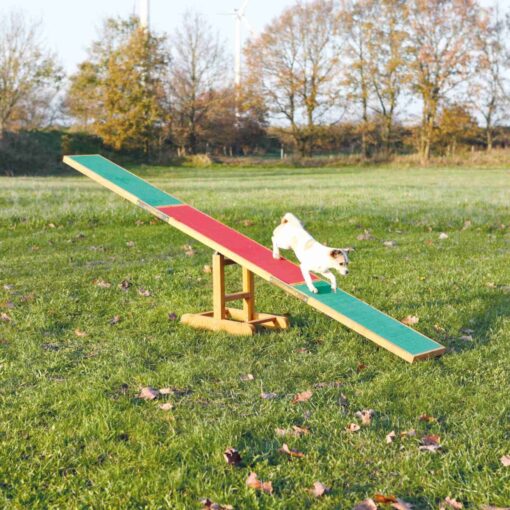 Agility balançoire, 300x34x54cm