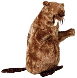 Castor, peluche