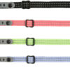 Collier chat  avec porte adresse, réfléch., nylon