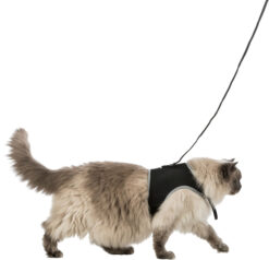 Alternative view of Softgeschirr mit Leine, Katze, XL,1.20m,schw.