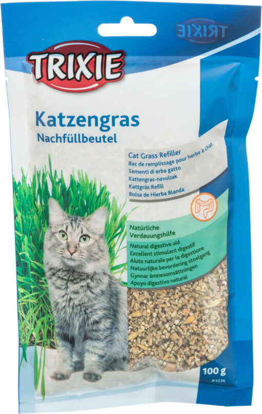 Katzengras-Nachfüllung 100gr