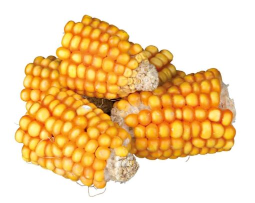 Maiskolbenstücke 300gr