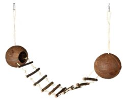 Alternative view of Noix de coco p. hamster, 2pcs