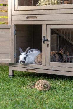Alternative view of natura clapier, 2 étages, 116 × 111 × 65 cm, gris-vert