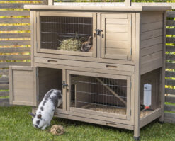 natura clapier, 2 étages, 116 × 111 × 65 cm, gris-vert