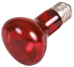 Alternative view of Infr. Wärme-Spotlamp