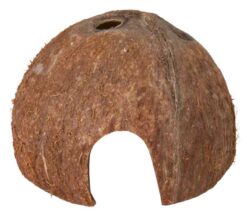 3 cachette noix de coco