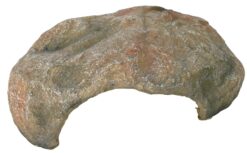 Reptililenhöhle