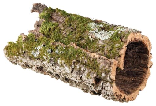 Korkröhre, XL: ø 25-35 cm/65-75 cm nur per VE2Stk.