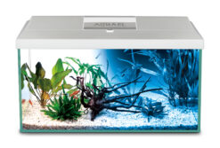 Alternative view of AQUARIUM SET LEDDY 60 BLANC D&N 2.0