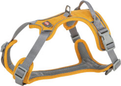 Premium harnais active, curry